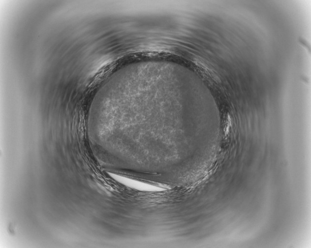 X0000093461014200711021130