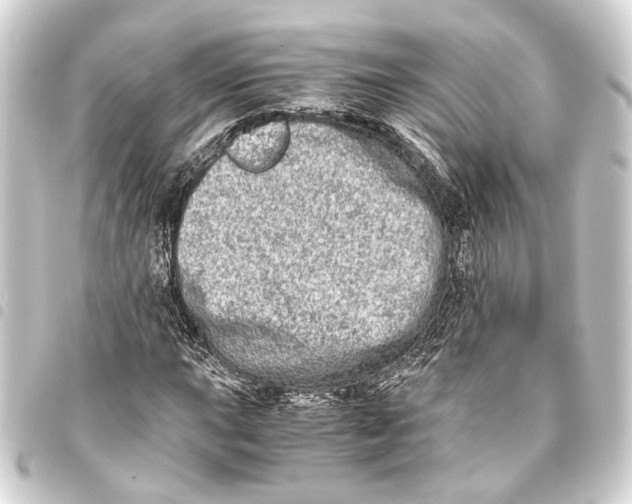 X0000093461015200711021130