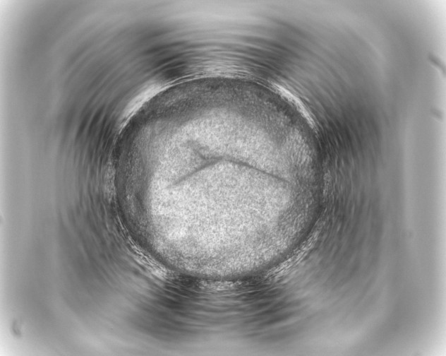 X0000093461019200711021130