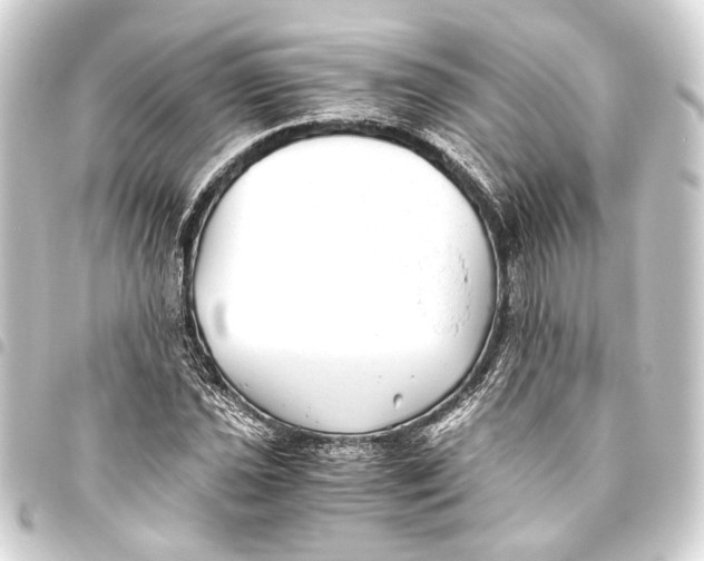 X0000093461021200711021130