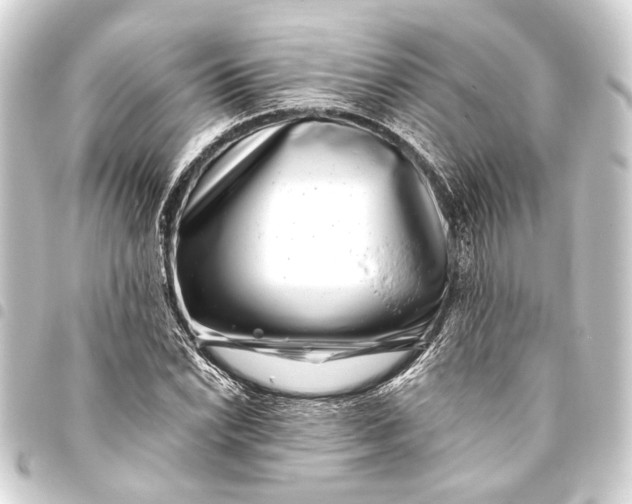 X0000093461022200711021130