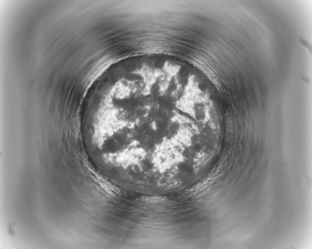 X0000093461023200711021130