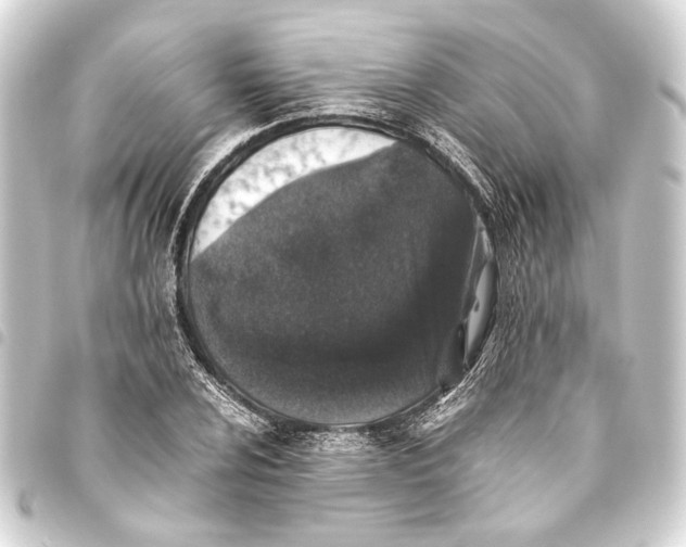 X0000093461024200711021130