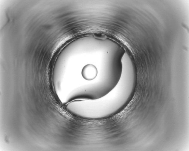 X0000093461026200711021130