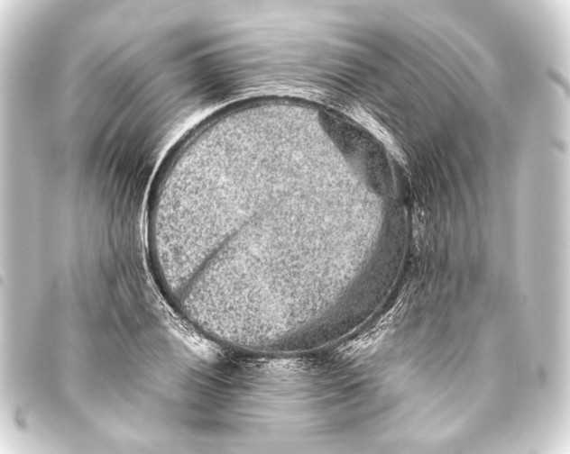 X0000093461028200711021130