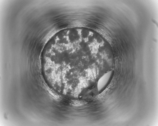 X0000093461031200711021130