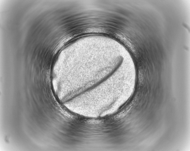 X0000093461033200711021130