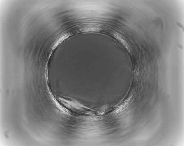 X0000093461034200711021130