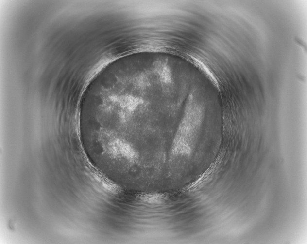 X0000093461035200711021130