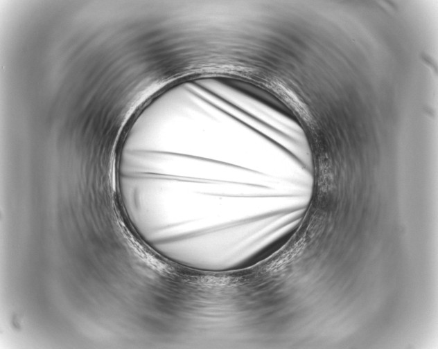 X0000093461036200711021130