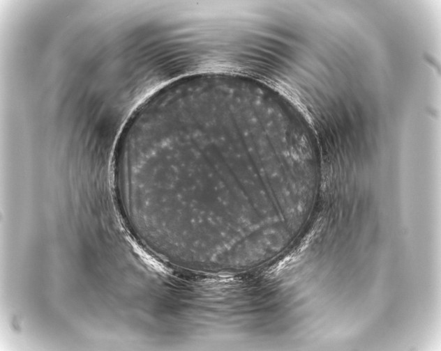 X0000093461037200711021130