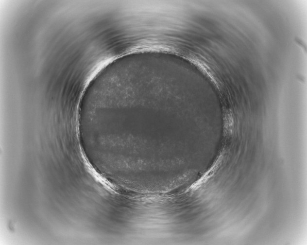 X0000093461038200711021130