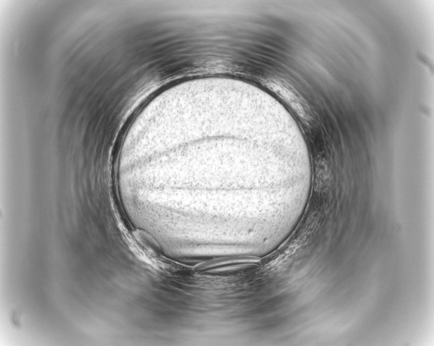 X0000093461039200711021130