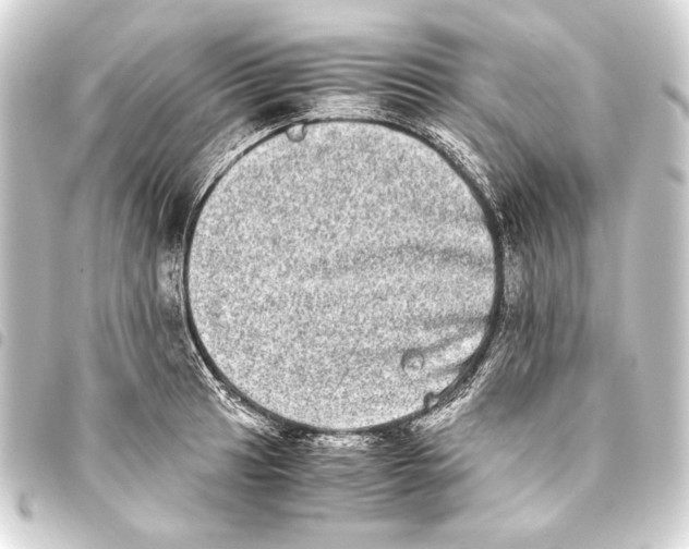 X0000093461041200711021130