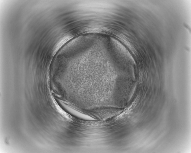 X0000093461042200711021130