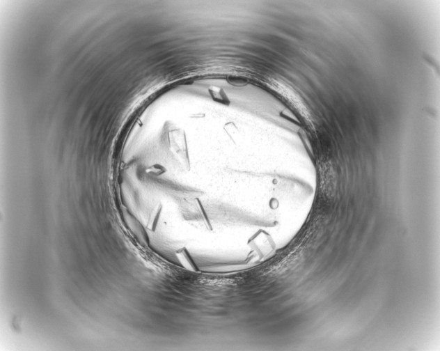 X0000093461043200711021130