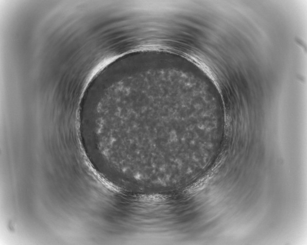 X0000093461045200711021130