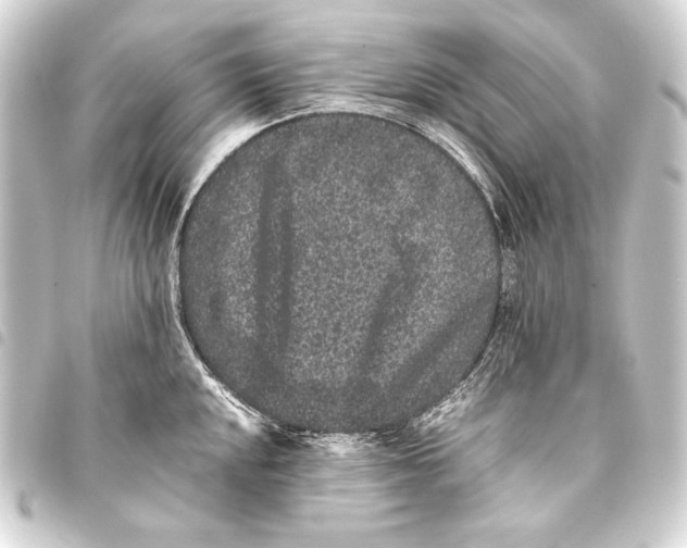 X0000093461048200711021130