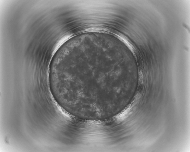 X0000093461050200711021130