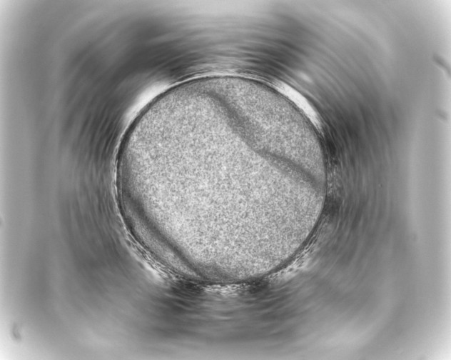 X0000093461051200711021130