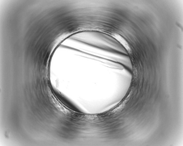 X0000093461052200711021130