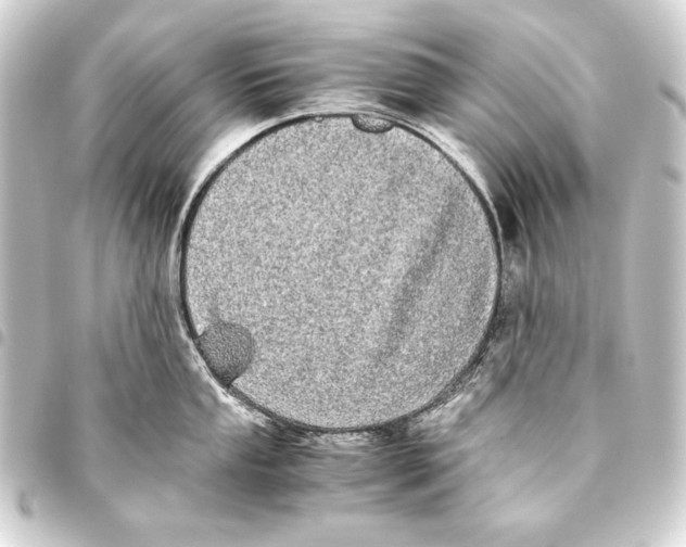 X0000093461053200711021130