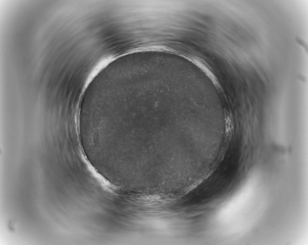 X0000093461054200711021130