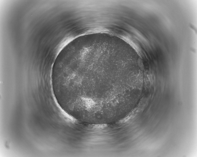 X0000093461055200711021130