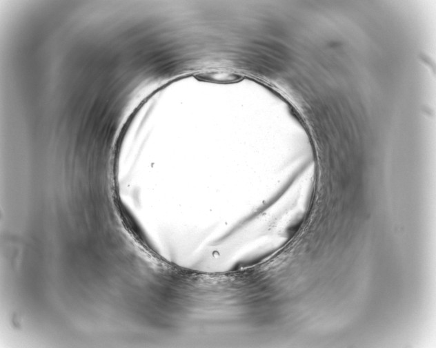 X0000093461056200711021130