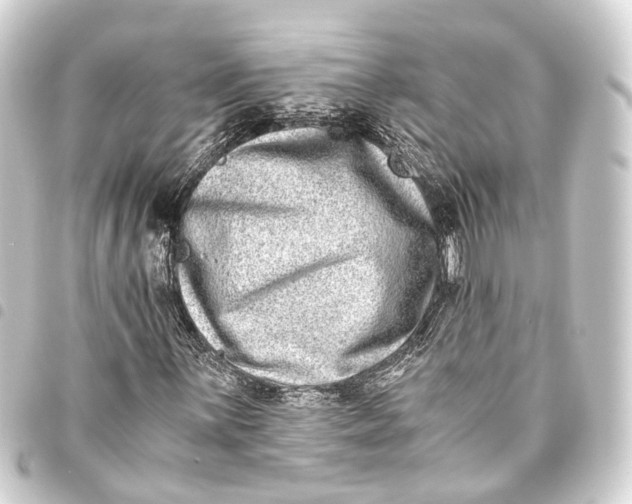 X0000093461059200711021130