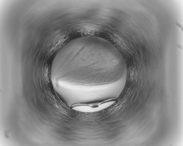 X0000093461060200711021130