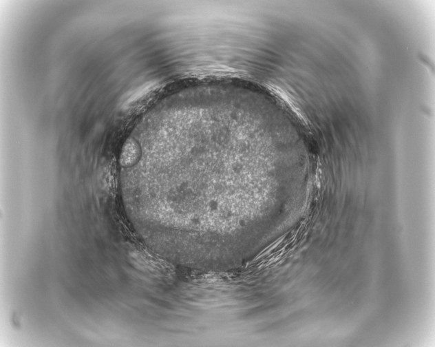 X0000093461063200711021130