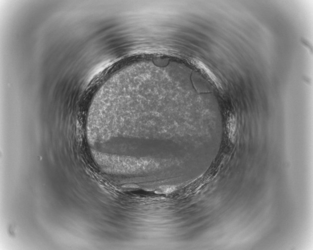 X0000093461064200711021130