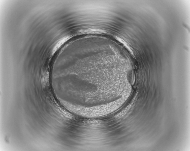 X0000093461066200711021130