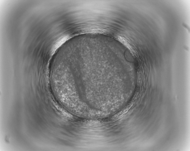 X0000093461071200711021130