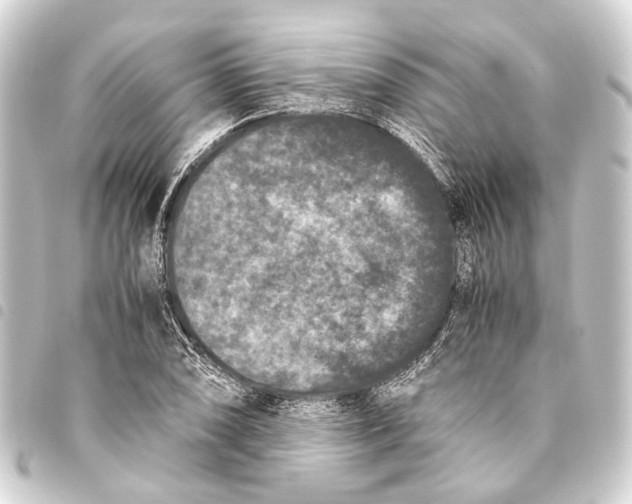 X0000093461074200711021130