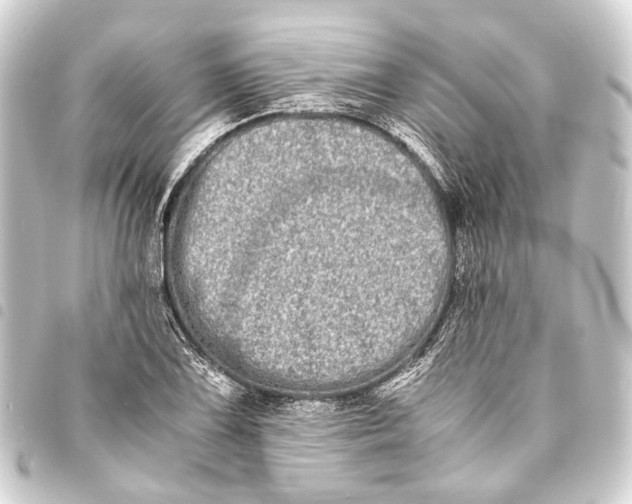 X0000093461075200711021130