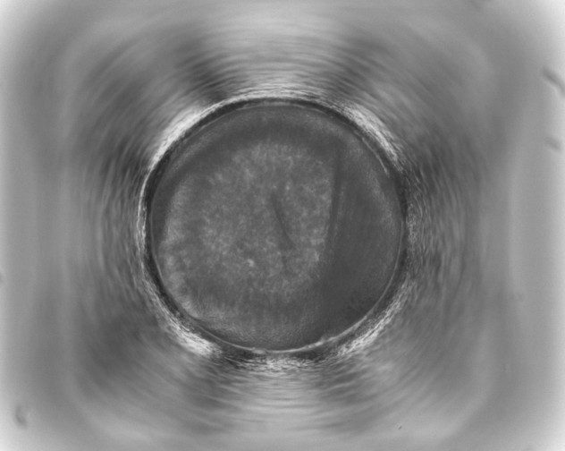 X0000093461077200711021130