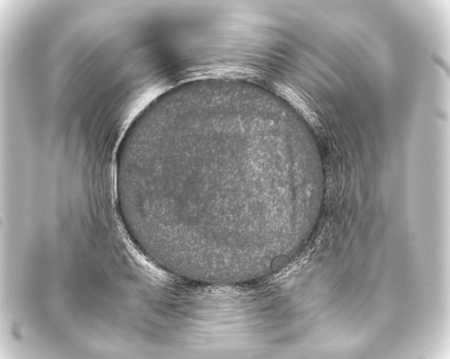 X0000093461079200711021130