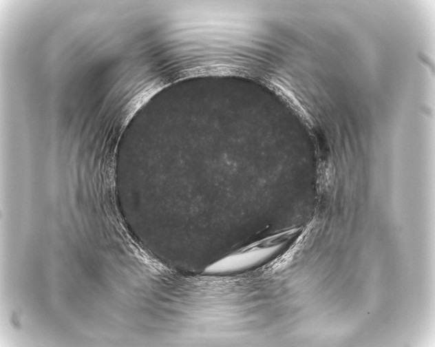 X0000093461081200711021129