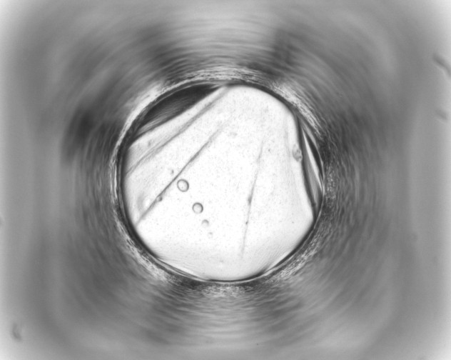 X0000093461083200711021129