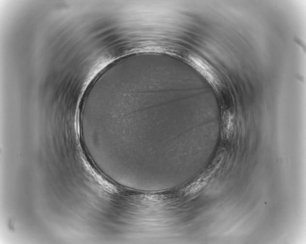 X0000093461084200711021129