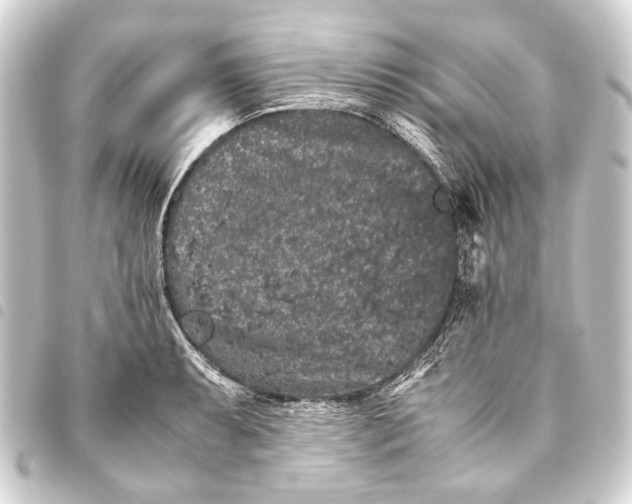 X0000093461087200711021129