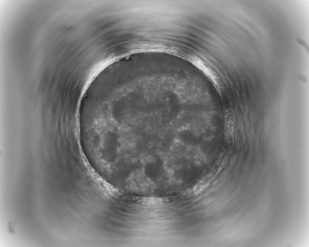 X0000093461088200711021129