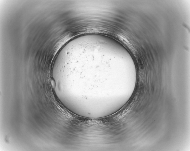 X0000093461089200711021129