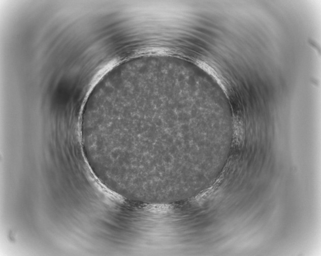 X0000093461090200711021129