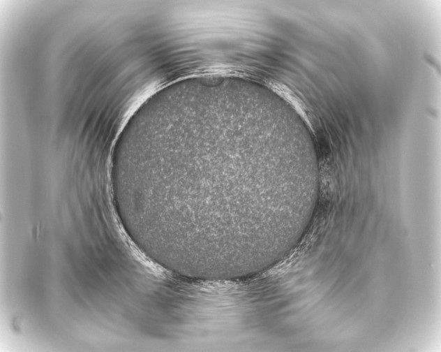 X0000093461091200711021129