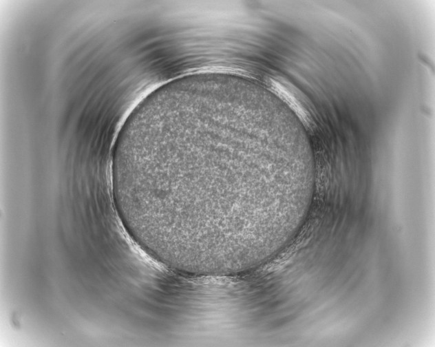 X0000093461092200711021129