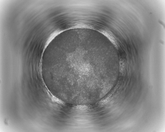 X0000093461094200711021129