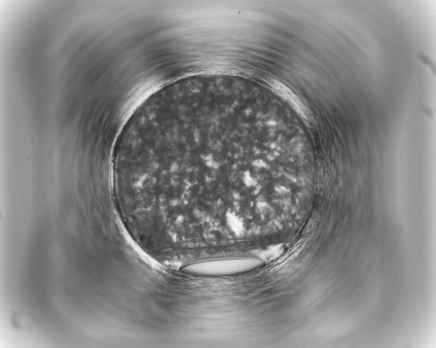 X0000093461095200711021129